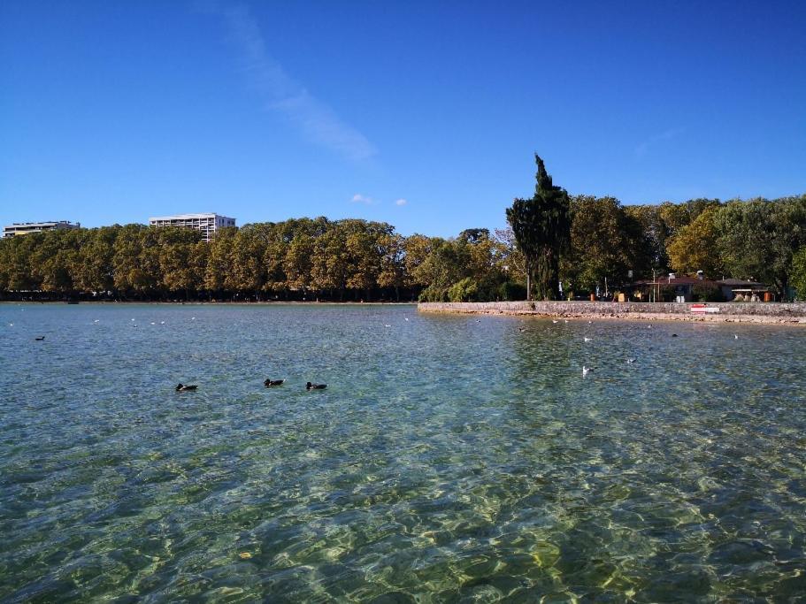 Studio Moderne, Place Parking Prive, Emplacement Ideal A 100 M Du Lac. 阿讷西 外观 照片